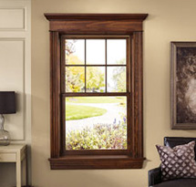 Integrity double hung windows