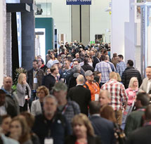 IBS 2019