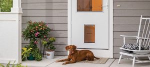 Larson Storm Door with Pet Door