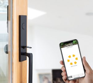 Emtek Davos Entry Set