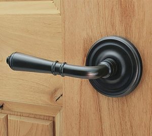 Emtek Turino Door Lever