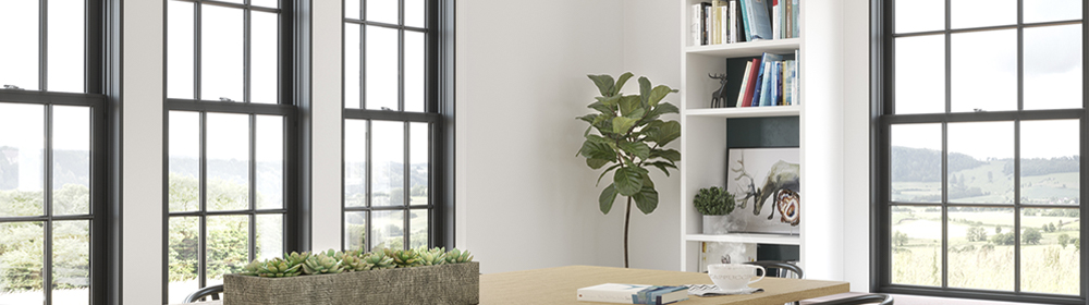 How to read a window label