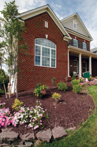 MI windows and doors - NY