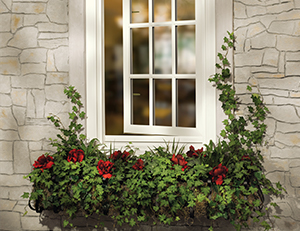 Window planter box ideas